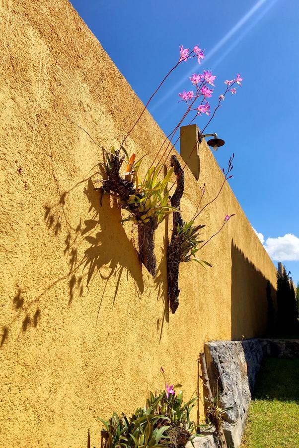 Sandunga Cabanas Boutique Tzintzuntzan Bagian luar foto